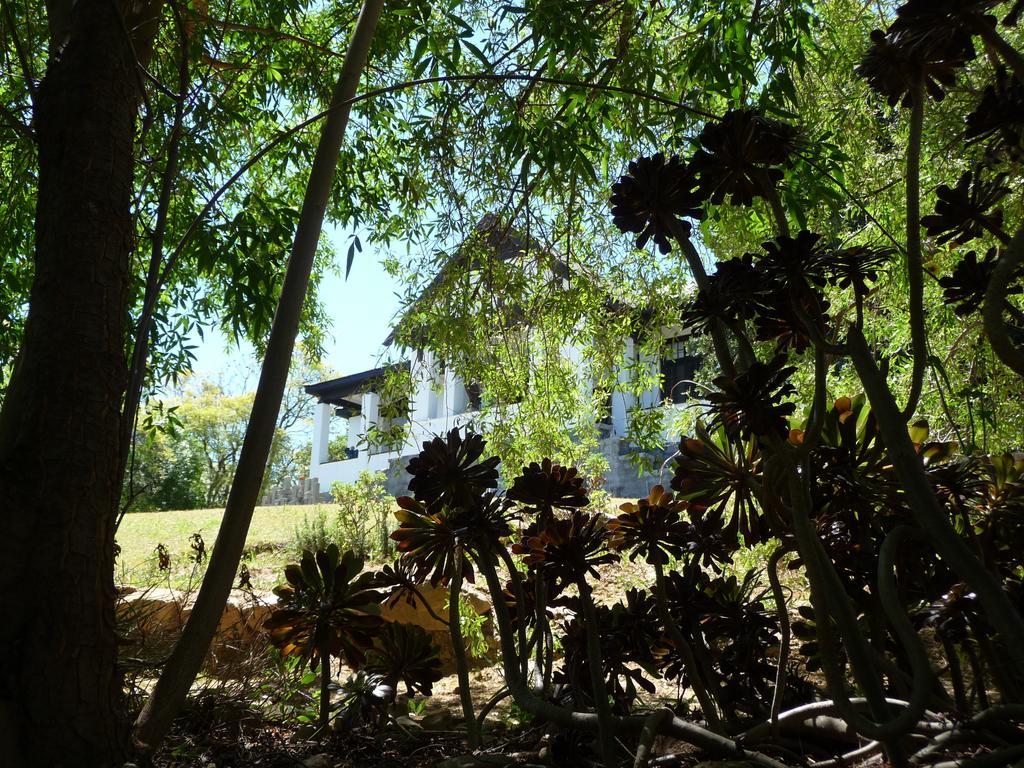 Karoo Soul Hostel Oudtshoorn Εξωτερικό φωτογραφία
